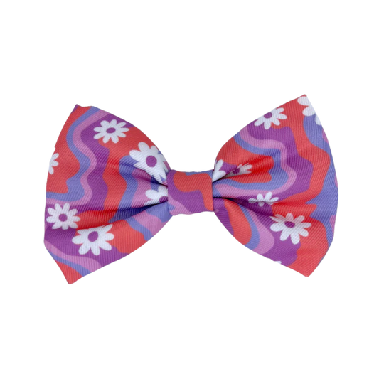 Daisy  Bowtie