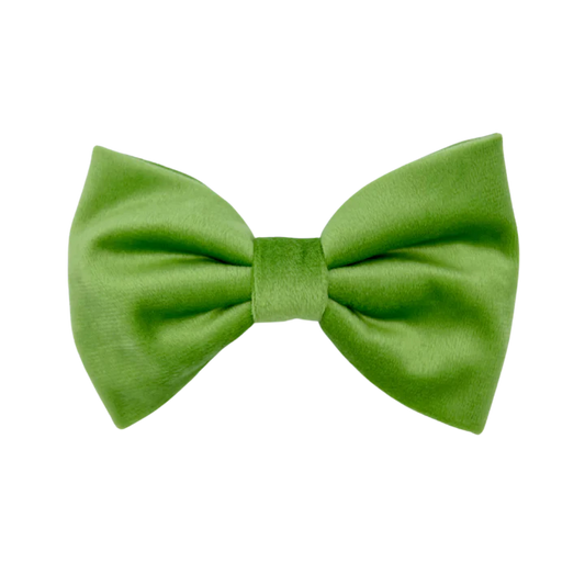 Fern Velvet  Bowtie