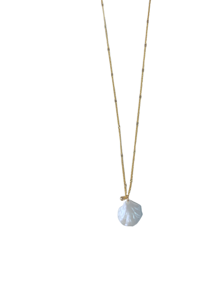 Sea Shell Petal- Necklace