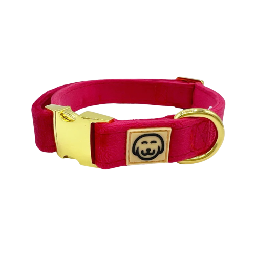 Scarlet Velvet Collar